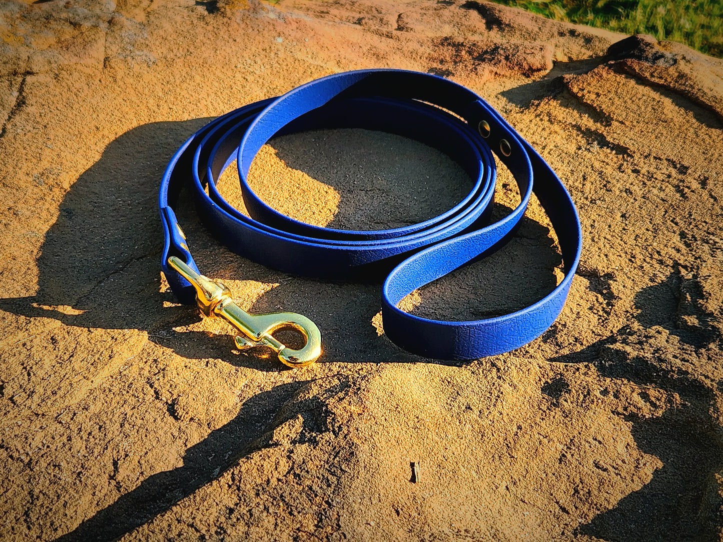 1/2" Dog Leash Biothane